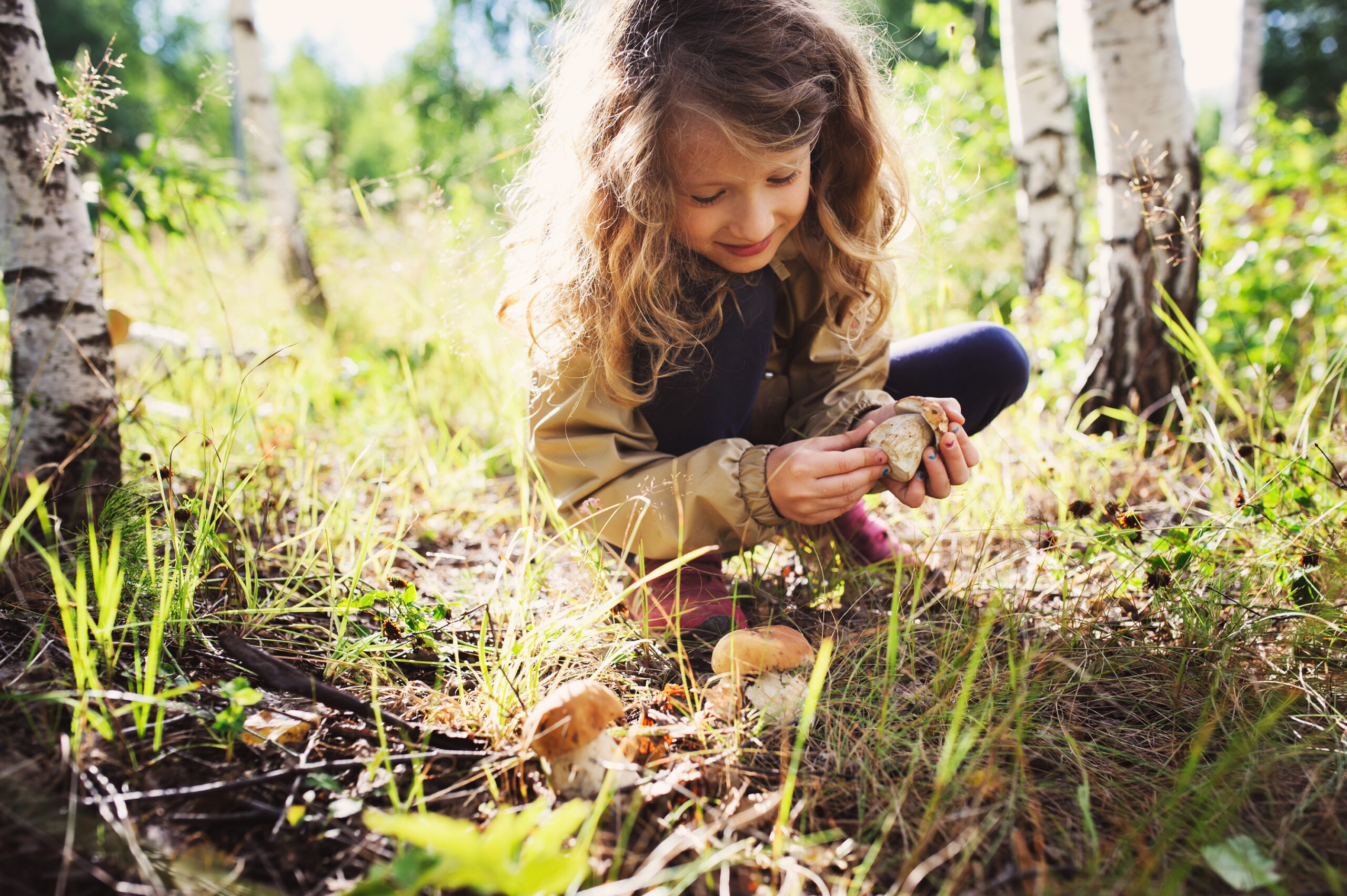 Nurturing a Sense of Wonder – Playful Learning